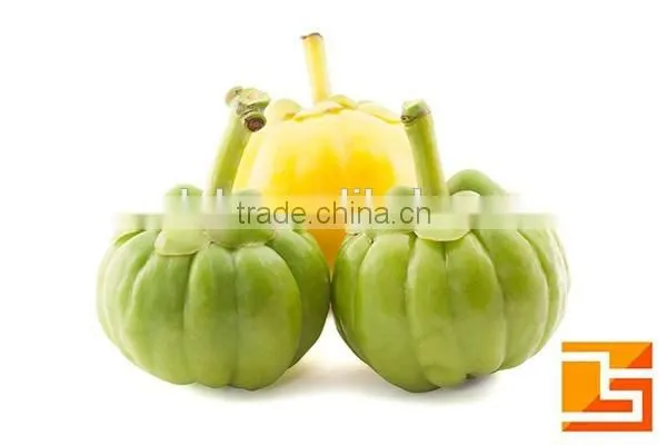 garcinia cambogia in powder 65% garcinia cambogia fruit extract powder