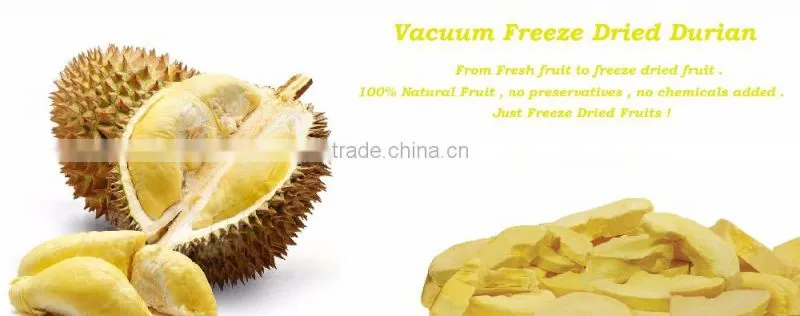 Freeze dried Fruit Durian Monthong slices from Thailand