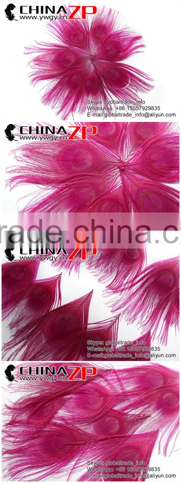 No.1 Supplier ZPDECOR Wholesale Selected Prime Quality Dyed Hot Pink Trimmed Short Peacock Feathers for Decoration