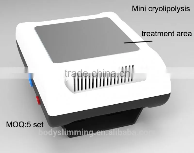 Christmas Promtion / Portable Mini Lipo Freezing Machine / Ice Lipo Belt