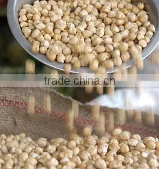 Protein Chickpeas Supplier