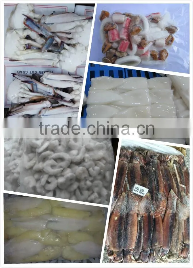 Frozen Squid whole Argentina Illex