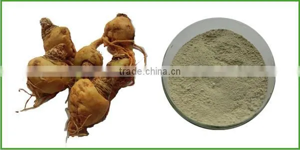 Free Sample Sex Supplement Natural and Effective Maca Root Extract Powder