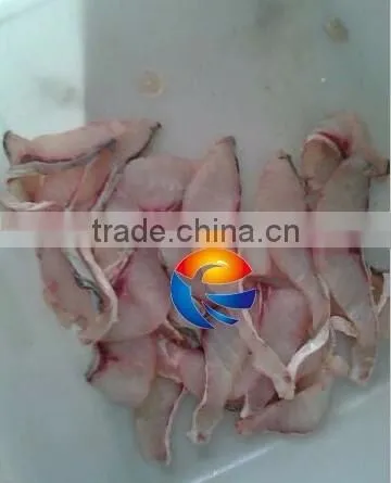 QW-3 High efficiency fish meat cutting machine,fish slicer, fish slicing machine