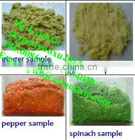 peanut paste grinding machine / ginger grinding machine
