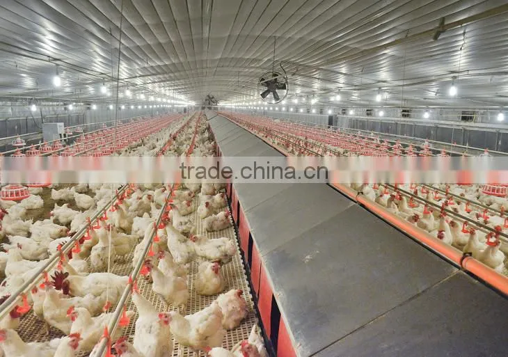 Automatic nest system/auto nest system/Poultry equipment/egg picking system/chicken nest/Manual egg collection box