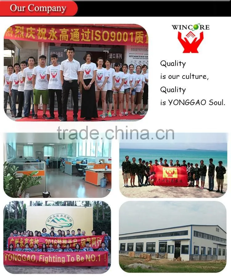 Hot salling poultry feeding system for Automatic Poultry farming equipment for Chickens