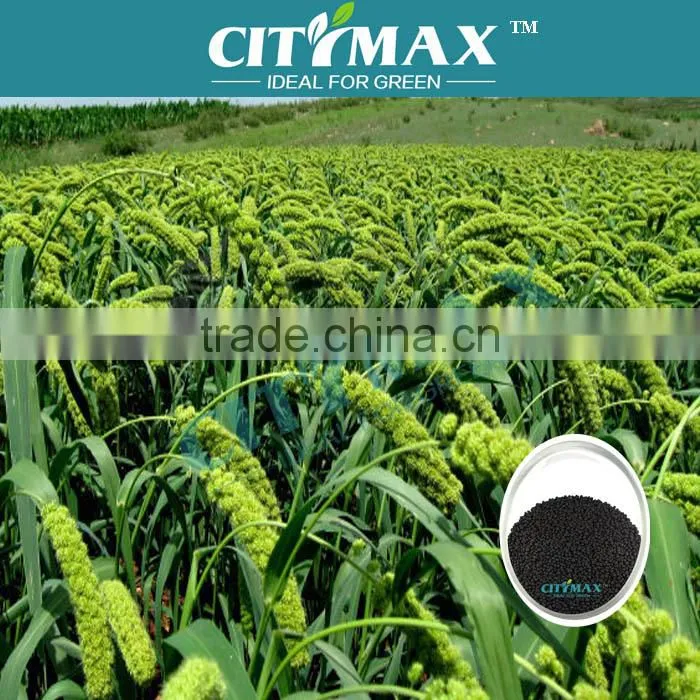 Granular Humic Acid From Leonardite