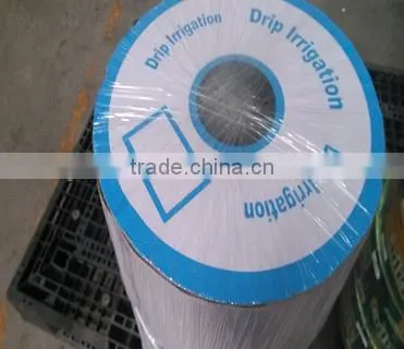 Linear type double line drip tape for drip irrigation system