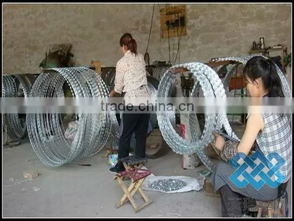 stainless steel and galvanized concertina razor wire