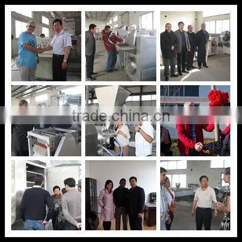 best selling 600kg/h fried food deoiling plant with CE