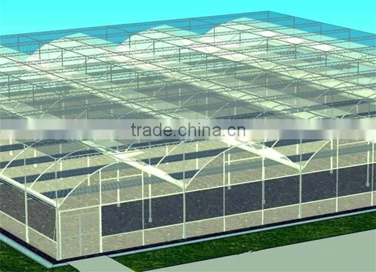 Factory Price BaoLiDa Poly Tunnel Greenhouse For Vegetables /Fruits /Crops