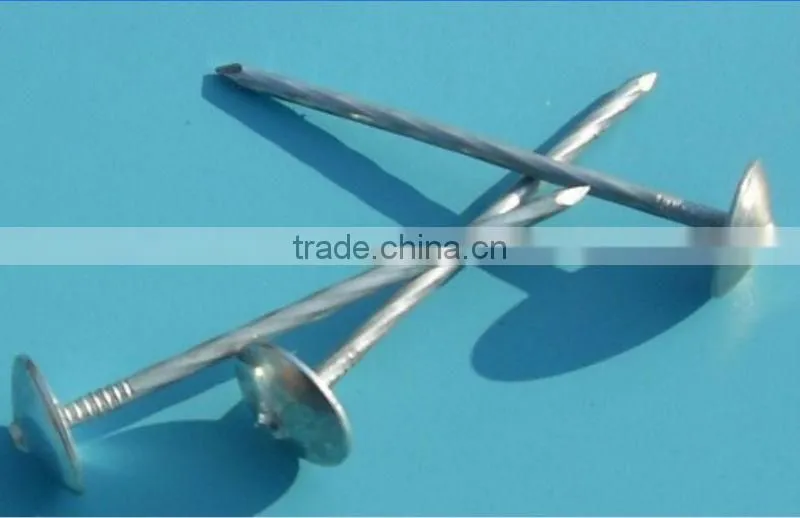 Cheap Raw Material Wire Nails for Construction for sale