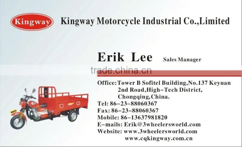 250cc chopper trike