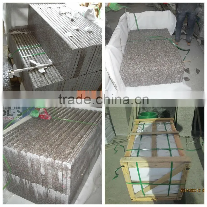 Chinese Cheap Granite G664 Granite Steps and Risers