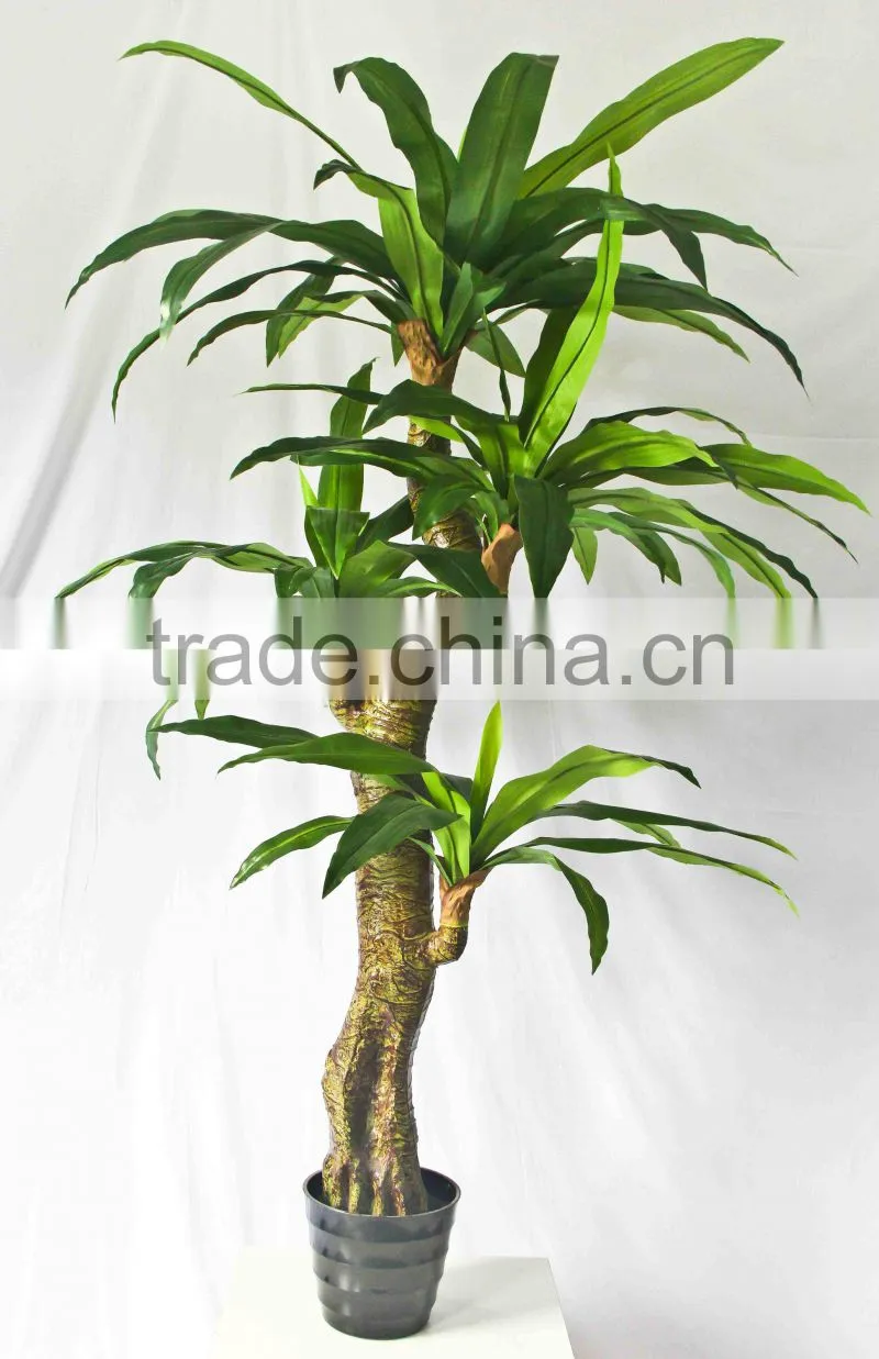 Office decorative green plants