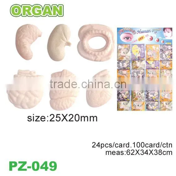 Magic Water Grow Skull Toys