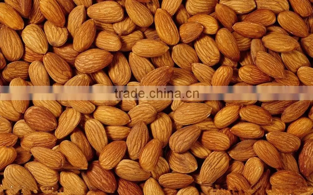 apricot kernels organic