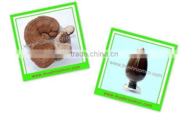 Ganoderma lucidum