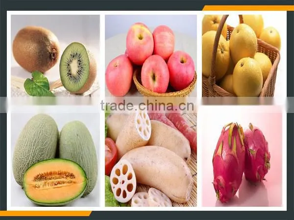 Leader stainless steel kiwi slicer with CE&ISO