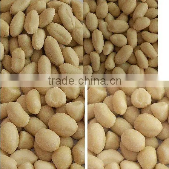 chinese raw peanut in shell
