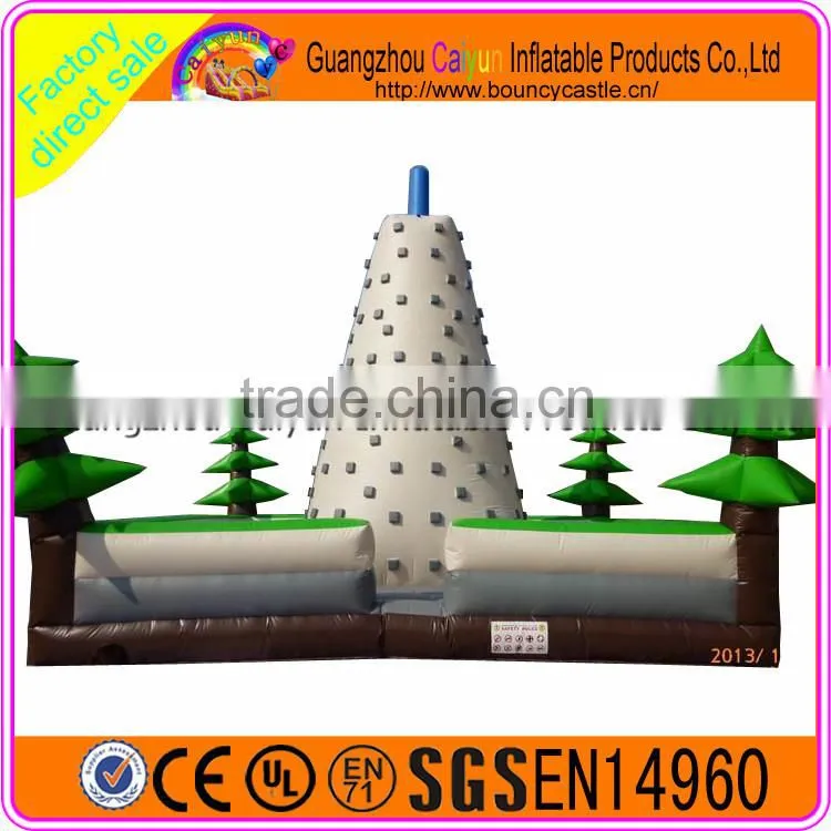 Best Quality Outdoor Inflatable Rock Climb