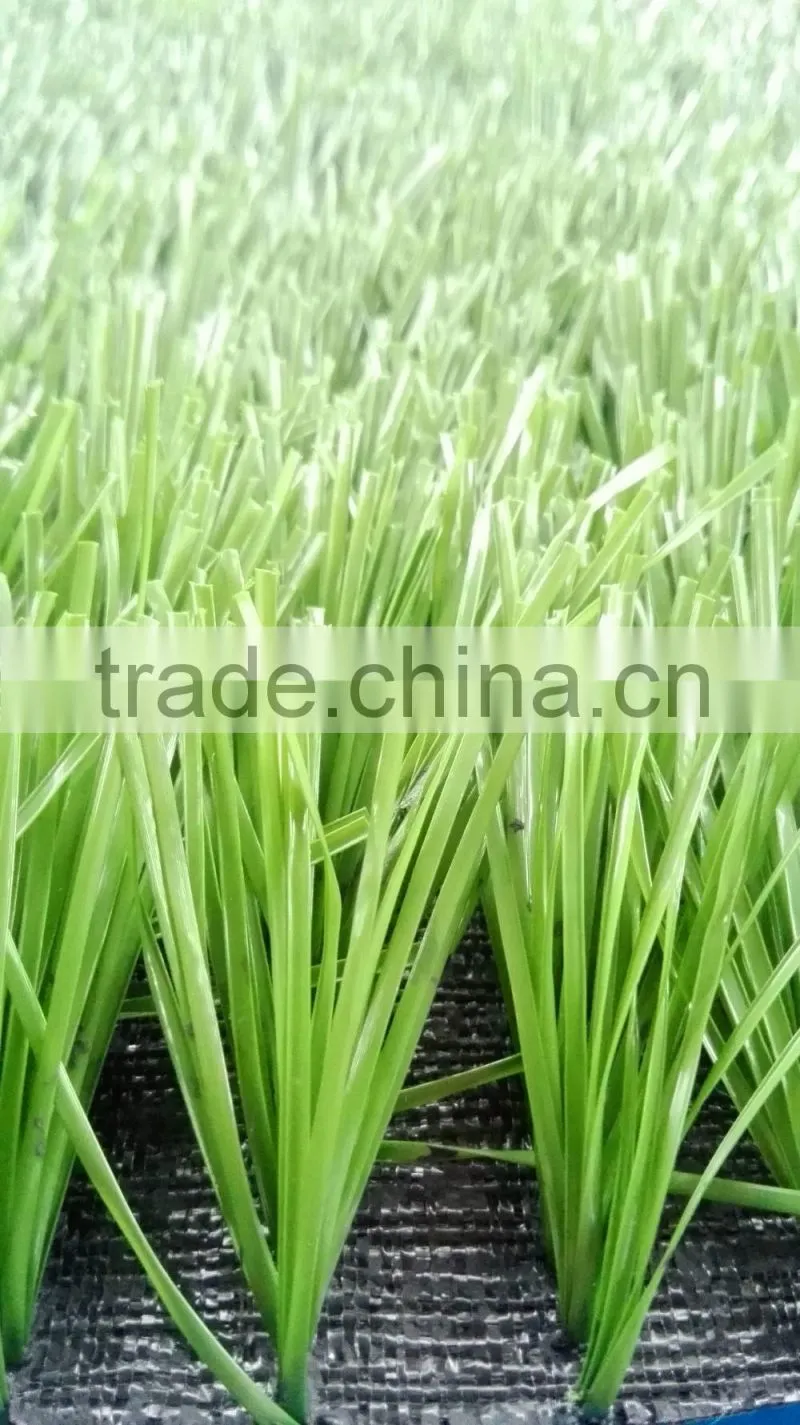 School football field use C shape turf grass