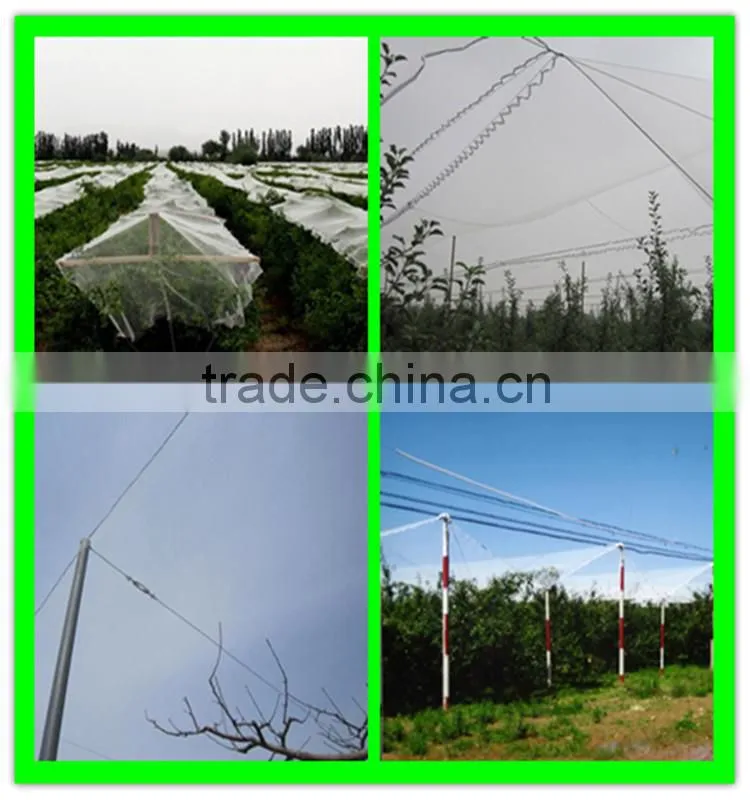Small Mesh Hail Net,Pond Protection and Anti Butterfly Netting