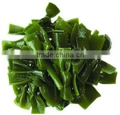 best factory supplier 100% Pure kelp extract Kelp Extract 4:1 Fucoidan 40%-95% HPLC/Kelp