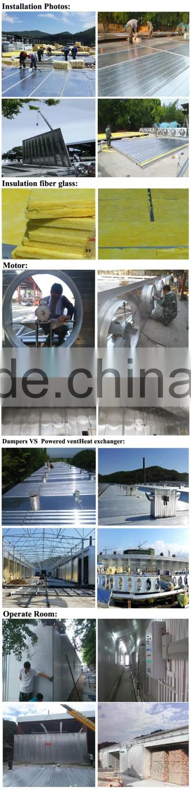 40m3 Factory sell directly wood dry kiln, timber drying, kiln dried lumber