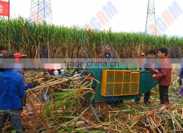 Small agricultural cane leaf remover 6BZ-15 new sugar cane leaf cutting machine