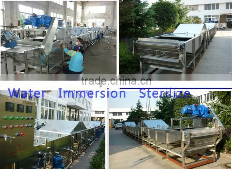 PET bottle tilting sterilizing machine