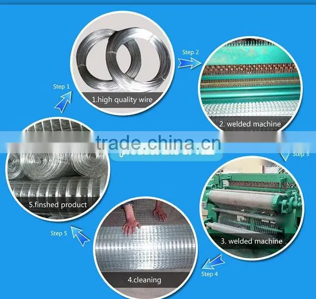 SQ-304 welded wire mesh (Anping manufacture)