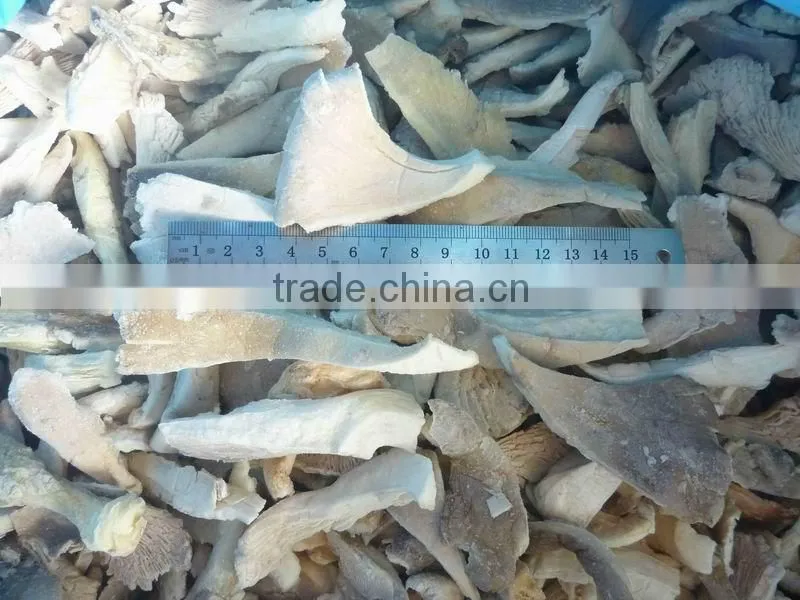 Chinese Frozen Oyster Mushroom Chunk 2-4cm