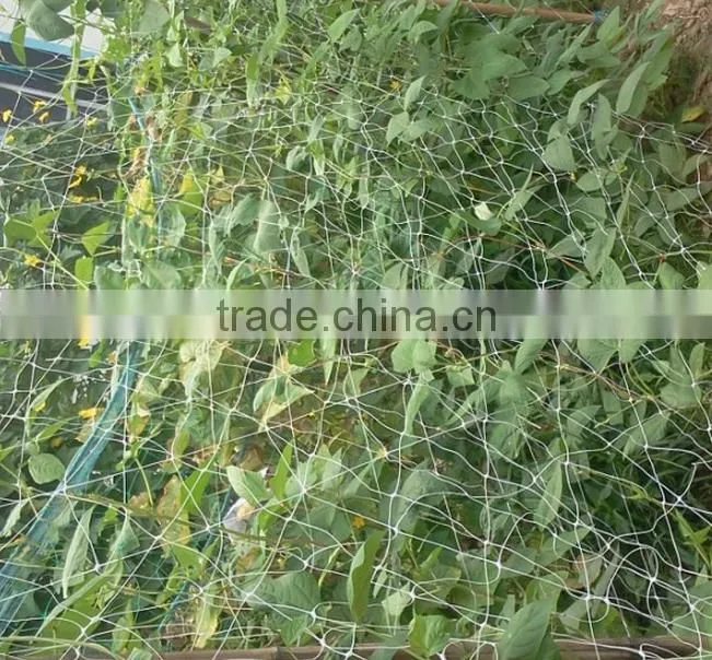 hot selling high quality bean cucumber BOP Net Plant Climbing Net