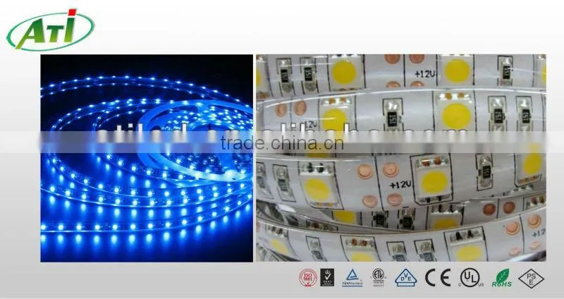 SMD 5050 blue led strip waterproof IP66, flexible led strip christmas light