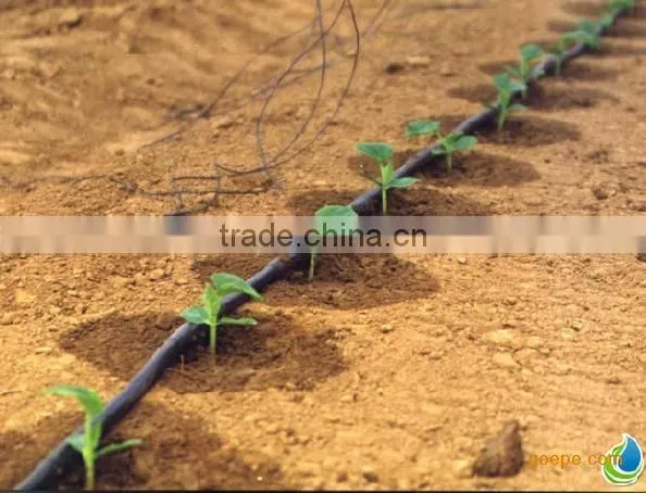 integral drip tape/drip line/irrigation tape/ PE material/XIFENG IRRIHOSE BRAND drip tape