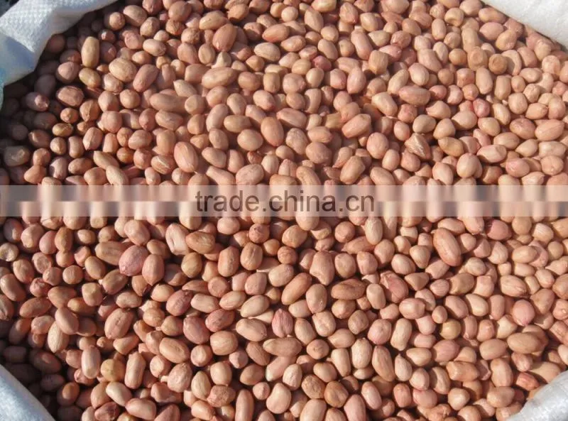 2014 Peanut kernels, Round shape, Chinese Java 40/50 , 50/60 ,60/70