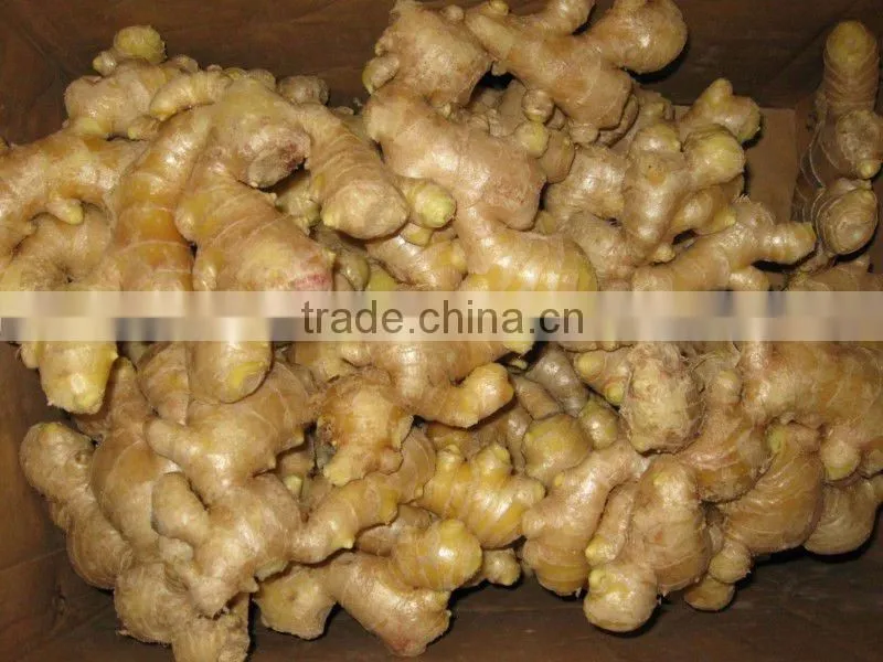 2010 crop dried ginger