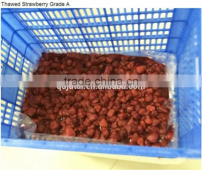 BQF Frozen Strawberry