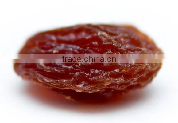 BEST RATE QUALITY INDUSTRIAL RAISIN FOR BEST RATE