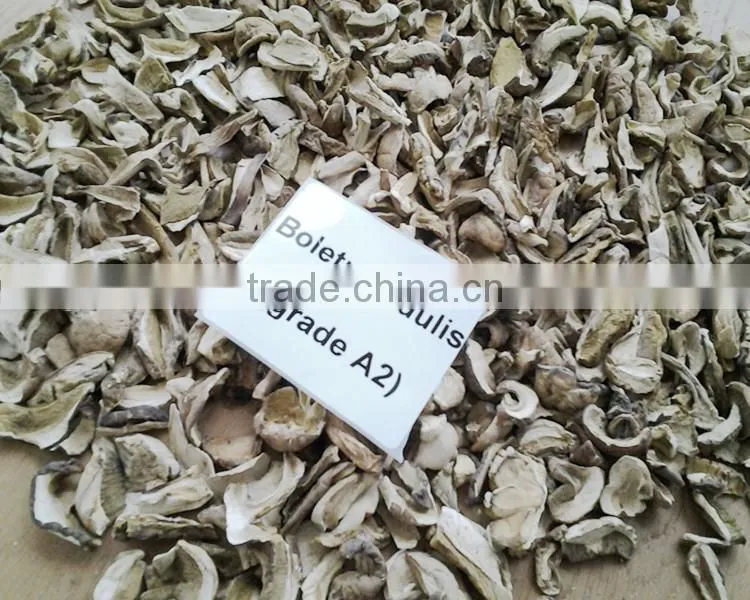 Wild Morel Porcini Truffle Chanterelle Price, Market Price for Mushroom