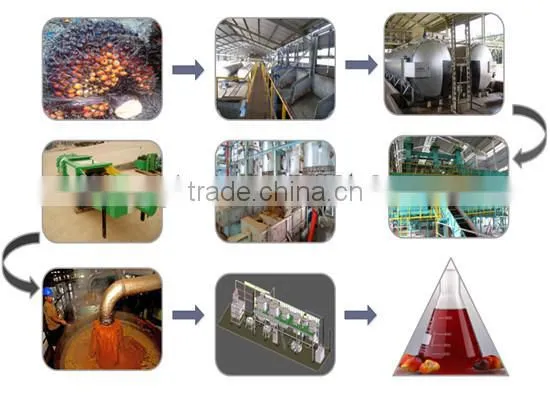 China leading palm oil processing machine | malaysia palm oil supplier