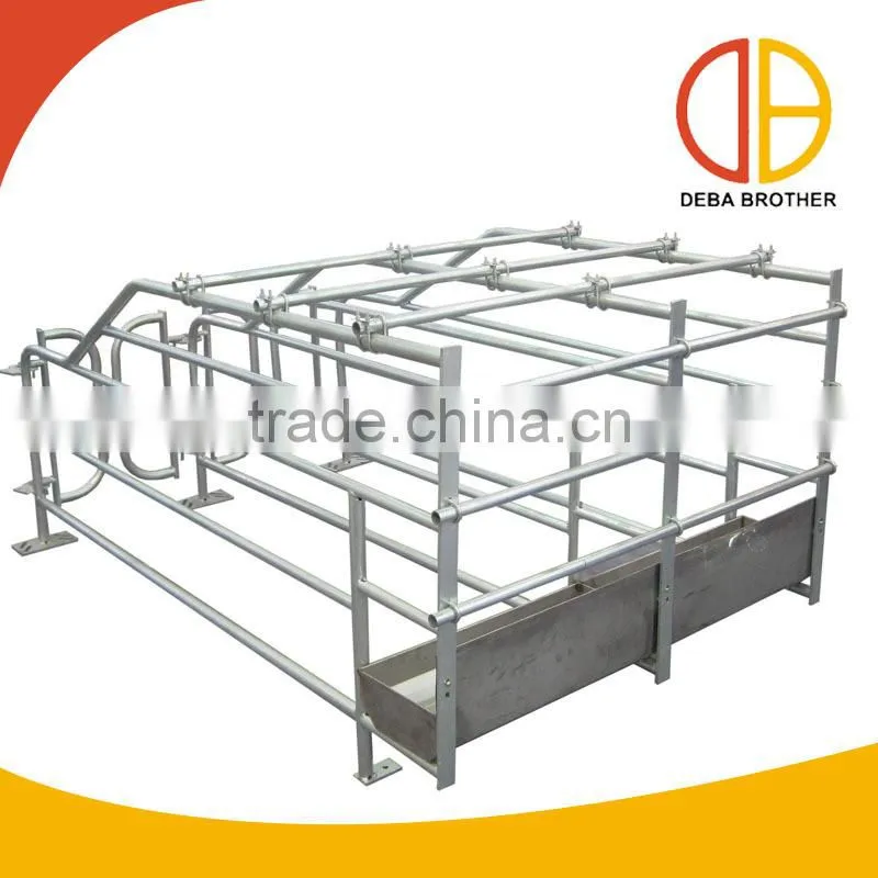 Pig Gestation Stall Good Quality For Pig Stall