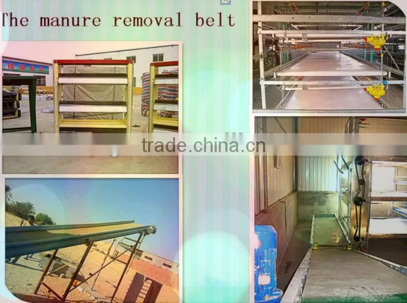 a type chicken cage chicken layer cage