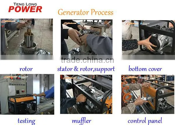 Portable 2kw Gasoline LPG Kerosene Power Generator for Home Use
