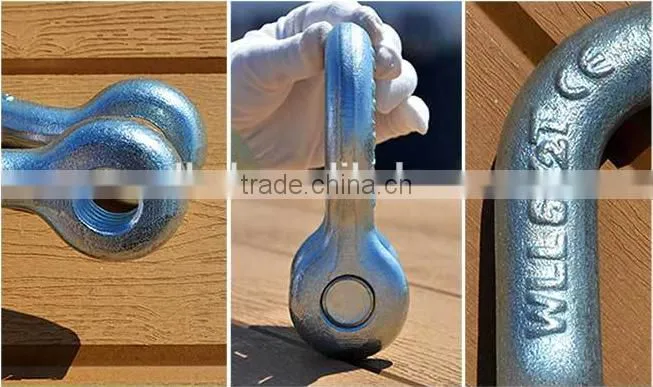 Galvanized Steel Drop Forged Europe Dee Shackle