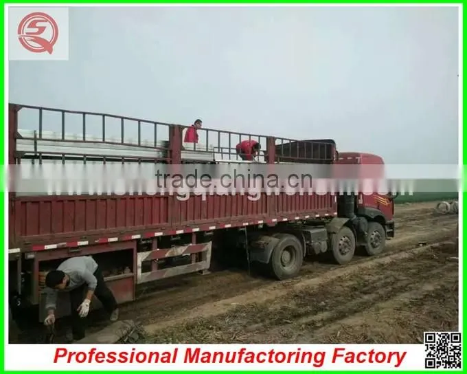 commercial plastic vegetable greenhouse for sale with seedbed