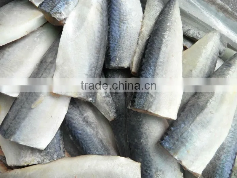 Boneless frozen fish Spanish Mackerel Frozen fish fillet 120g