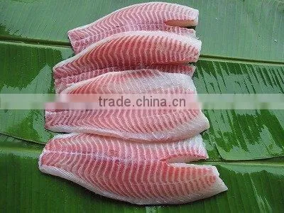 Frozen Tilapia Fillet From Zhejiang of China